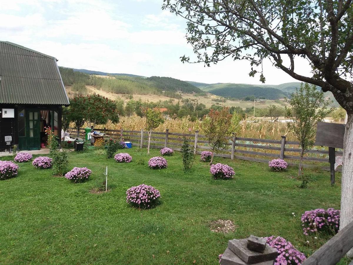 Holiday Home Vila Milka Kremna Extérieur photo